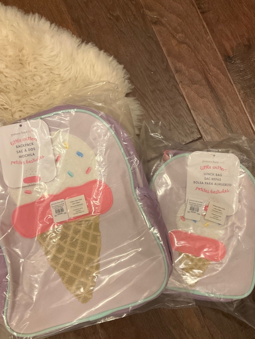 Pottery Barn Kids Ice Cream Mini Backpack and Lunchbox